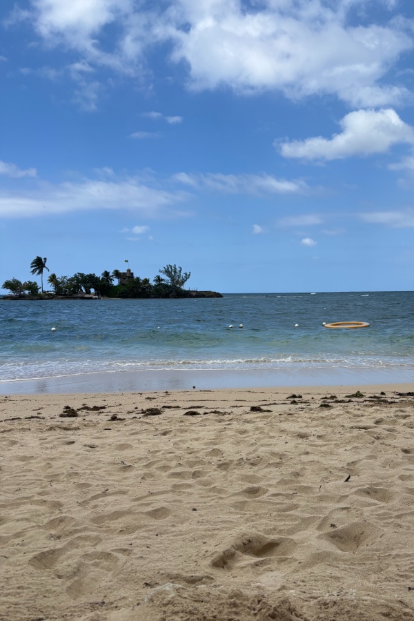 Cruise Brothers Travel Agent Natasha Haggerty